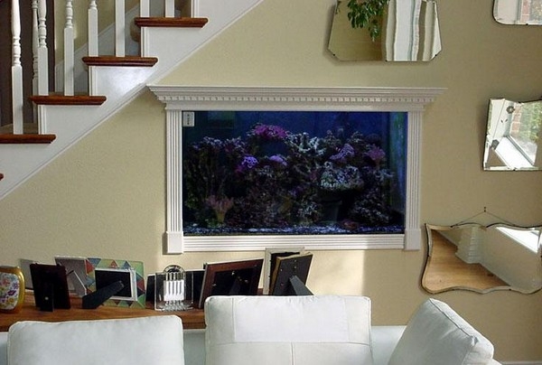 Настенный аквариум: морское царство в нашем доме