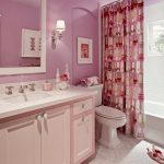 DP Coddington Design pink contemporary bathroom h.jpg.rend .hgtvcom.1280.960