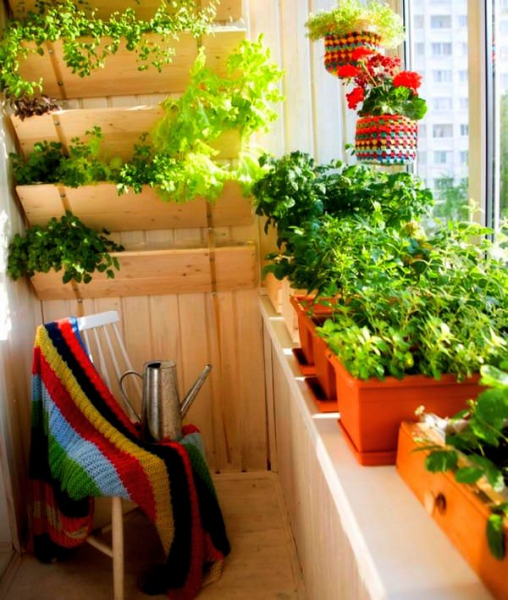 Что вырастить на балконе: интерьерно-огородный ликбез в фото