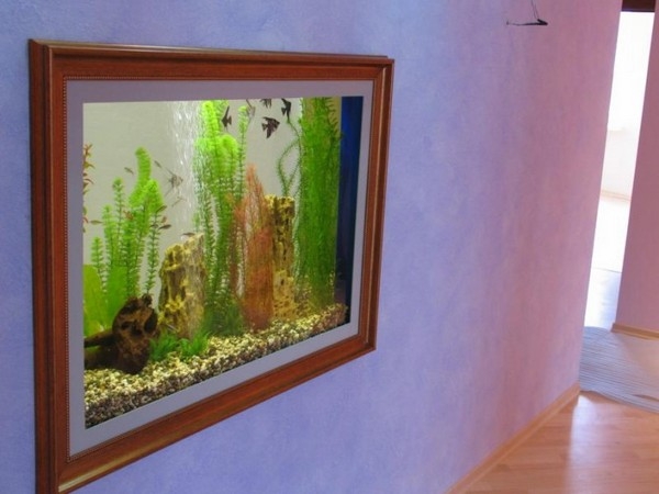 Настенный аквариум: морское царство в нашем доме
