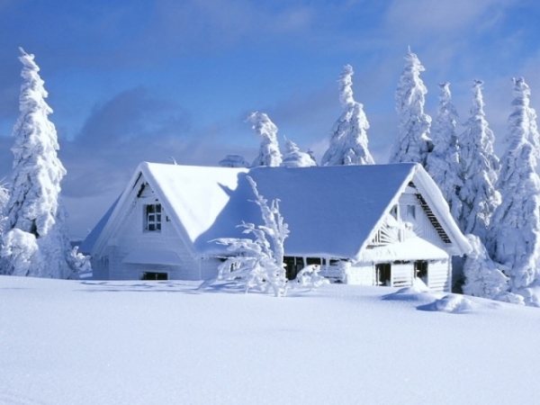 Польза и вред снега на даче