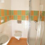 small soft bathroom design ideas clear glass freestanding enclosed bathtub floating white toilet green orange tile finishing wall ideas for small bathroom design ideas interior bathroom ideas for sma
