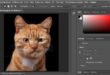 adobe photoshop 2021 0 large